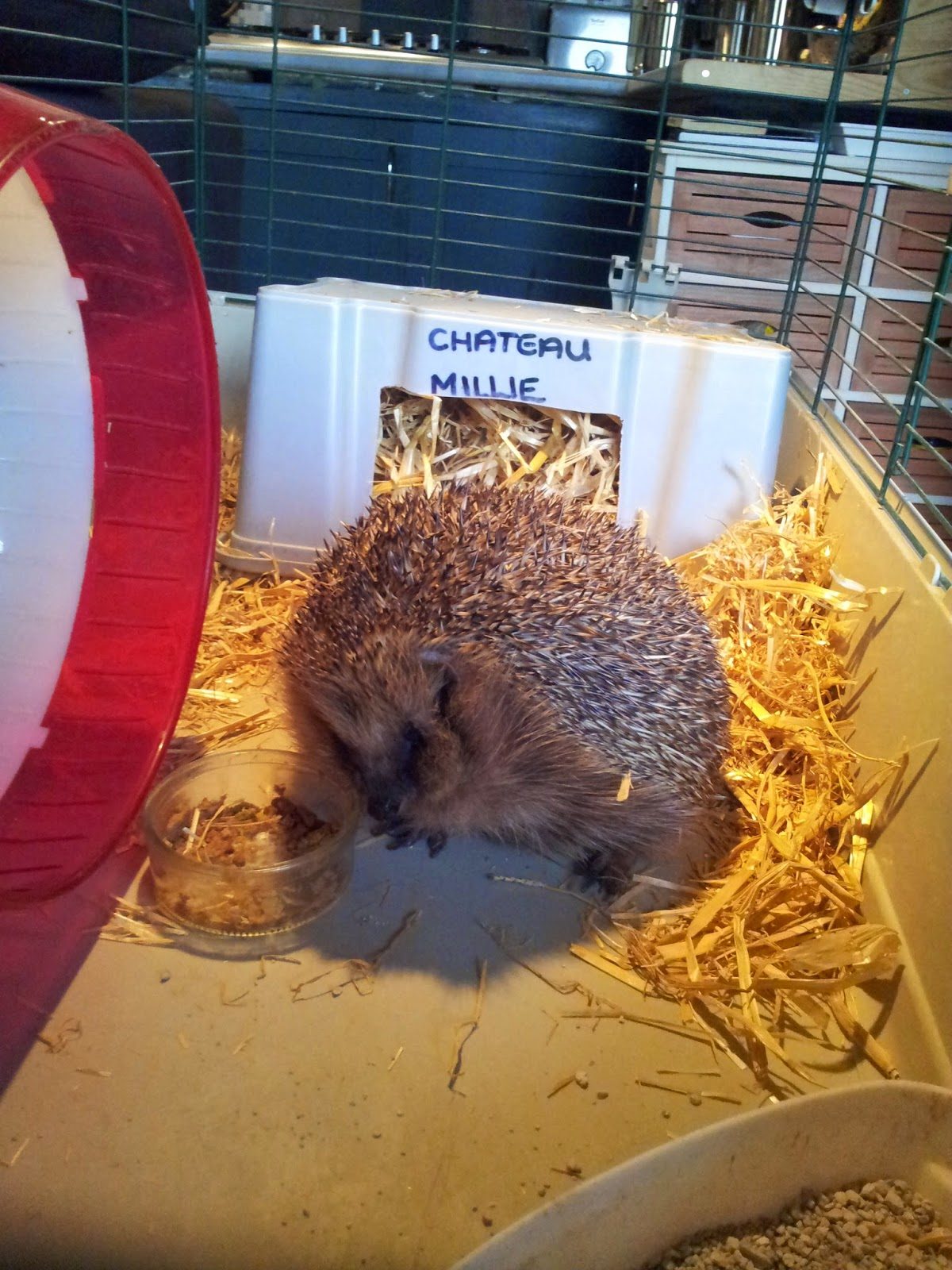 2015-03-262b16-10-12-4414707