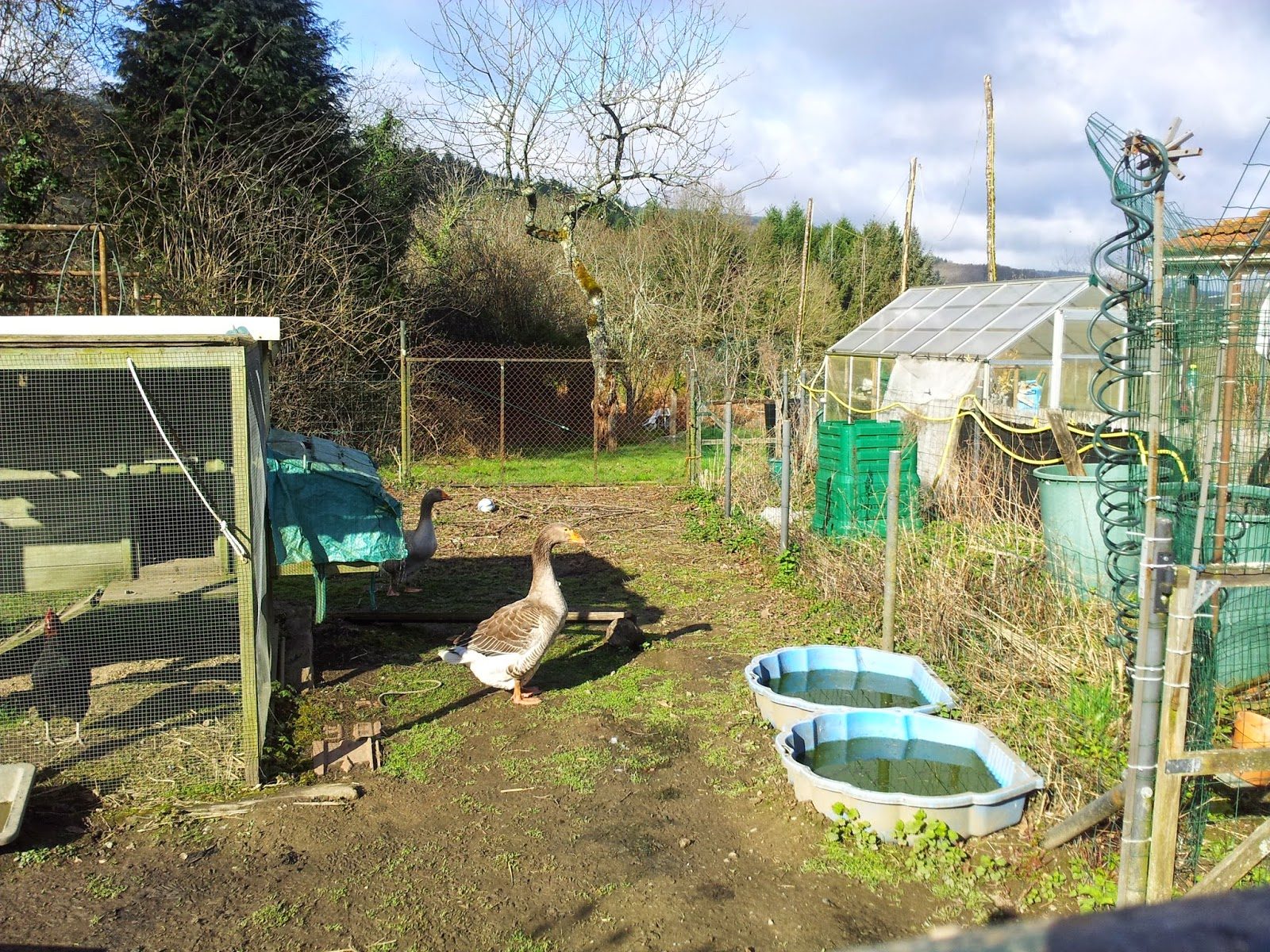 2015-03-272b08-40-14-4996491